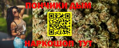 гидра Дубна
