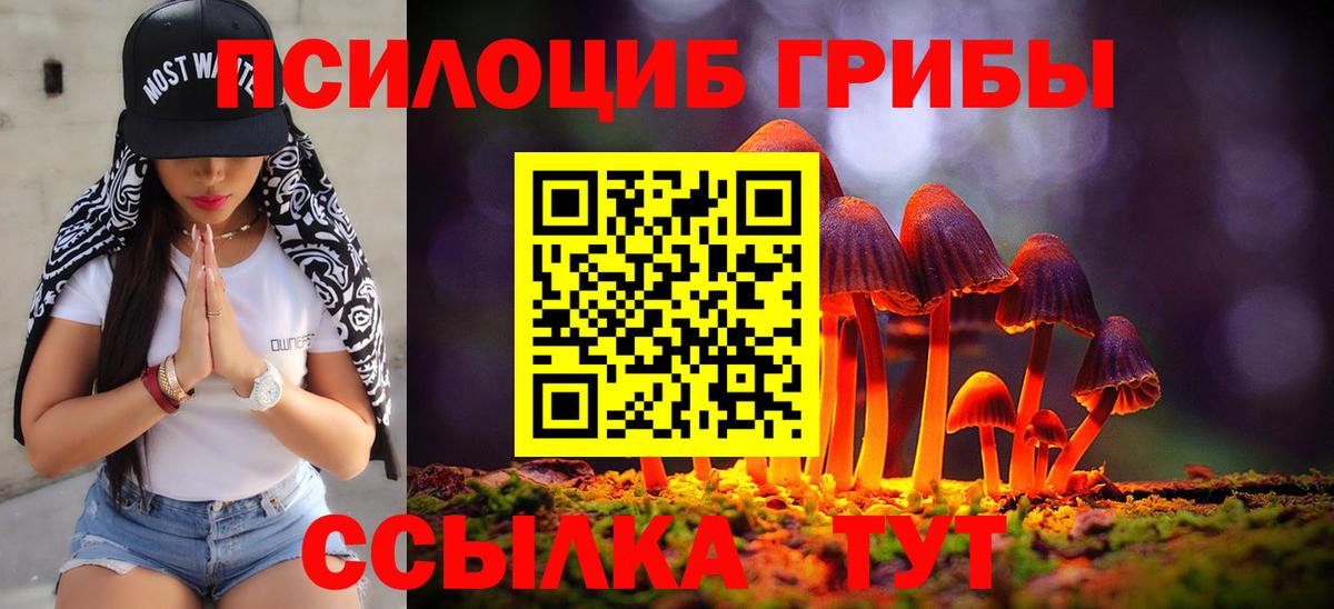 Воркута  Псилоцибиновые грибы мицелий  Вход с VPN 